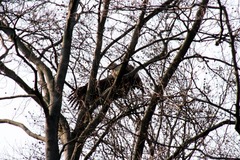 Killikus&reg; Fotographie